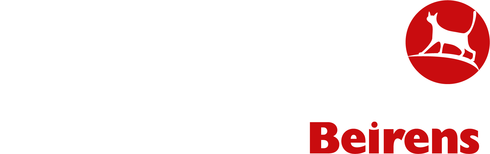 Poujoulat Heating & Power par Beirens